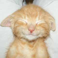 toy haciendo lo que quiero