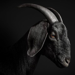 Brady (Instrumental)