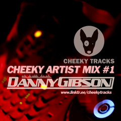 Cheeky Artist Mix #1: mixed by Danny Gibson