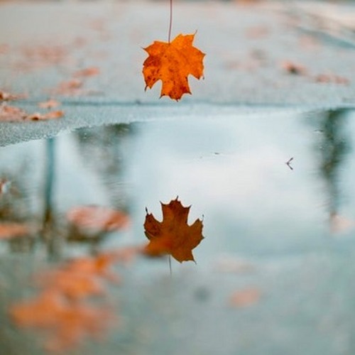 Autumn