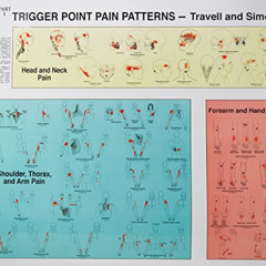[READ] PDF 💚 Trigger Points of Pain: Wall Charts (Set of 2) by  Janet Travell MD &