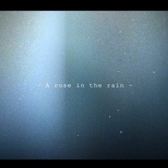 A rose in the rain