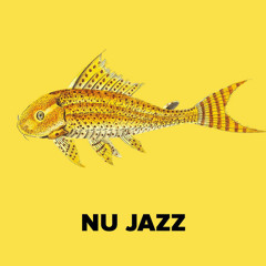 Nu-jazz