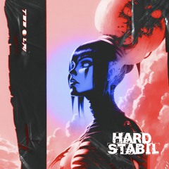 HARD STABIL WORKOUT SET 🪓