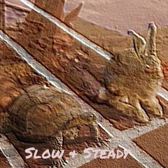 Slow & Steady