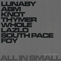ALL IN SMALL (mixed)