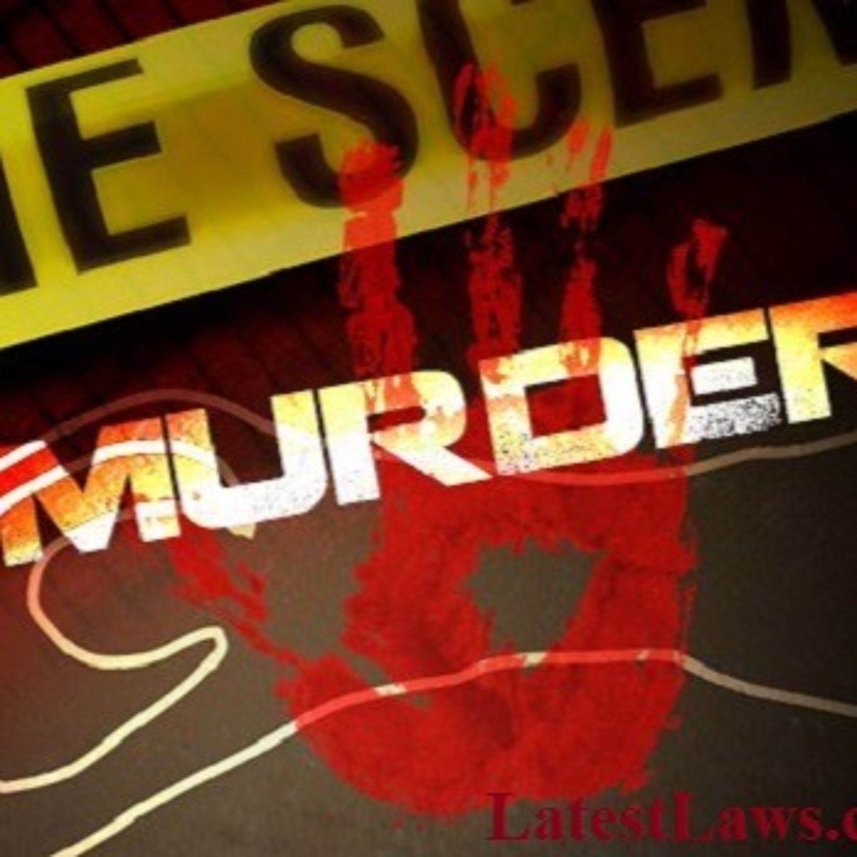 DJ Kaya - Murder was the case cover episode artwork