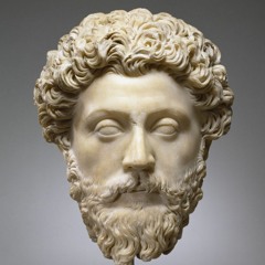 Discipline Yourself Andrew Tate (320 Kbps)