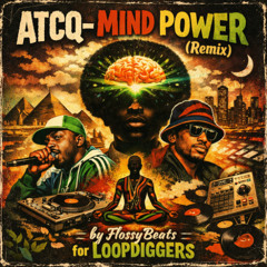 ATCQ" Mind power" remix / LDSR 233