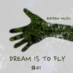 Dream Is To Fly -  ZAIDAN