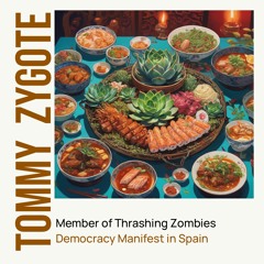 Democracy Manifest in Spain