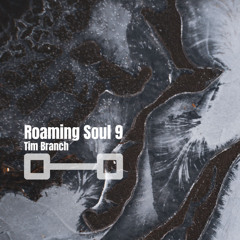Roaming Soul /9