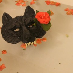 i know my apology isn't enough