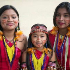 Las Comunidades Indígenas
