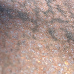 Can’t Even Hold It Down