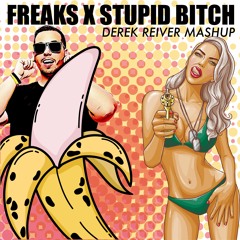 Freaks X Stupid Bitch (Derek Reiver Mashup)