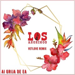 Los Anonimos - Ai Grija (VetLove Remix)