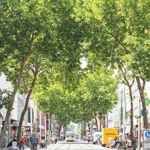 „Wenn die Stadt zum Forschungslabor wird“ – Karlsruher Reallabor begleitet Klimapolitik der Stadt
