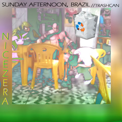 sunday afternoon, generic jungle insight //trashcan