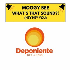 DPR045 Moogy Bee - What's That Sound (Luisen Lipps Mix Promo)
