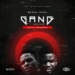 Gang ft. Qweku Game(Mixed by 7thRomahnBeatz)