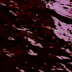 Revisions (wip)