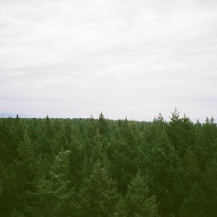 SUMMERS OVER INTERLUDE PT. 2