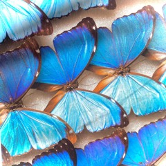 it matters where U are