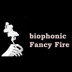 biophonic-Fancy Fire