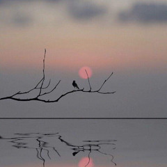 caresse du soir