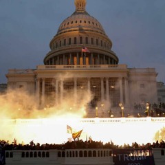 2021: The Year in Political Insurrection