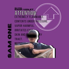 INTRODUCING: SAM ONE