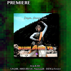 PREMIERE: SAQIB, AREUBLUE, Naayaab - Dil Ka Fever