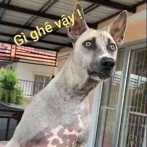 Weheken - Thái Hoàng Remix