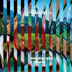 ...I've Got Others (Glocal Mix)