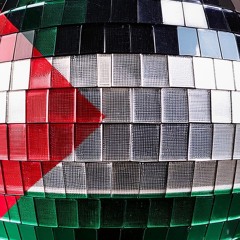 A Day Will Come (Death to the IDF) (disco intifada Bootleg Remix)