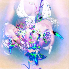 SEX Him Just For Fun