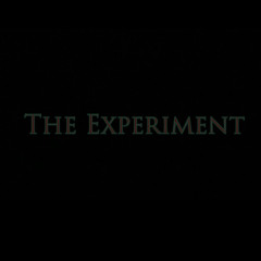 the experiment intro