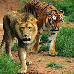 Ossy x MGS Troopa x MGS 7iete - On the road