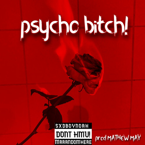 Psycho Bitch! w/ MrRandomhere