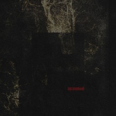 LOCUST [PROD. ouchie! x Romeo ツ]