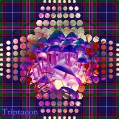 Triptagon - Path Of Light