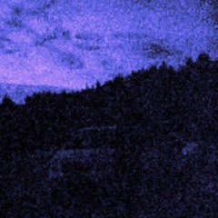 FireflyHunting