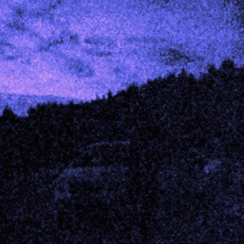 FireflyHunting