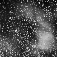 The Black Rain