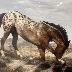 Horsing around