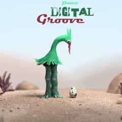 Digital Groove - Original Mix