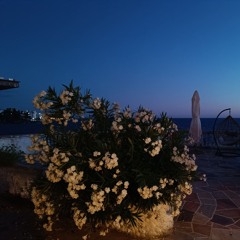 Drmex -Šta si čula 2