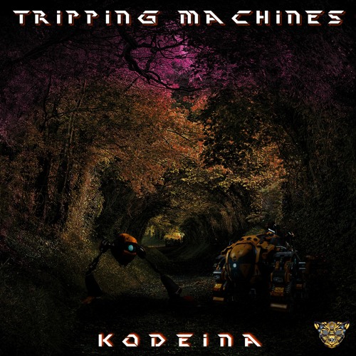 Kodeina - DmTrip  ( Tripping Machines E.P)
