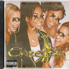 Cheetah (feat. Mi$take & Huncho n' Boog)